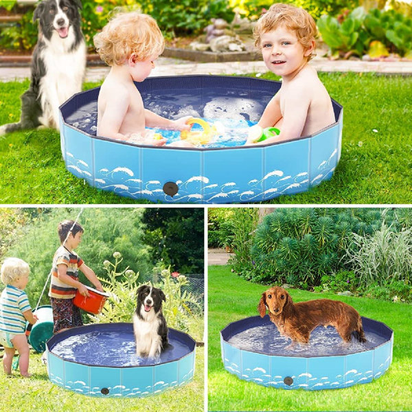 kiddie pool for puppies